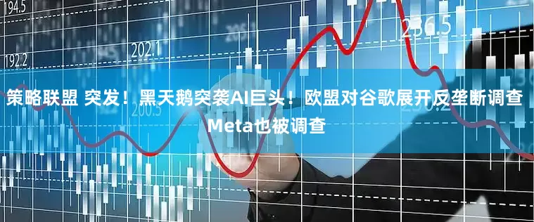 策略联盟 突发！黑天鹅突袭AI巨头！欧盟对谷歌展开反垄断调查 Meta也被调查